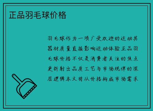 正品羽毛球价格