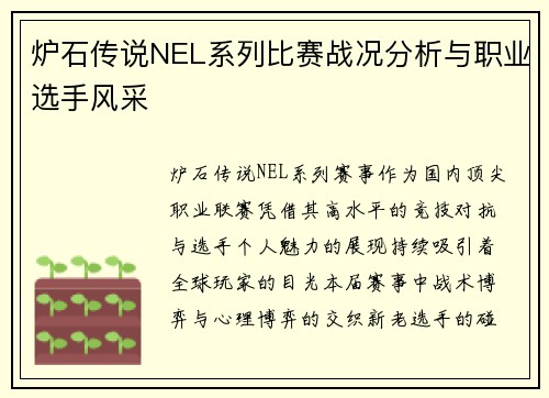 炉石传说NEL系列比赛战况分析与职业选手风采